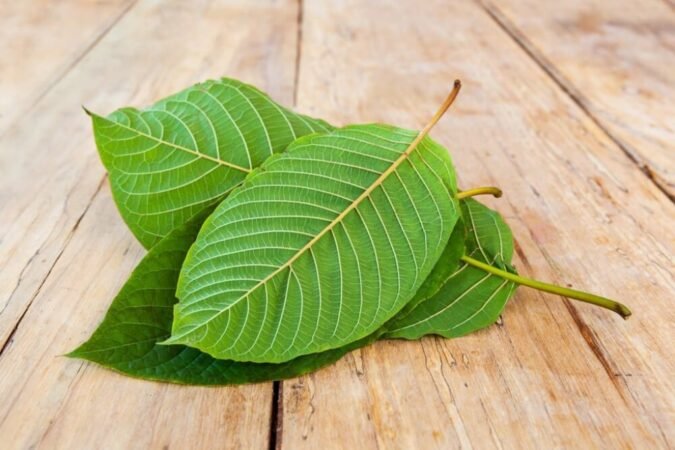 kratom leaf